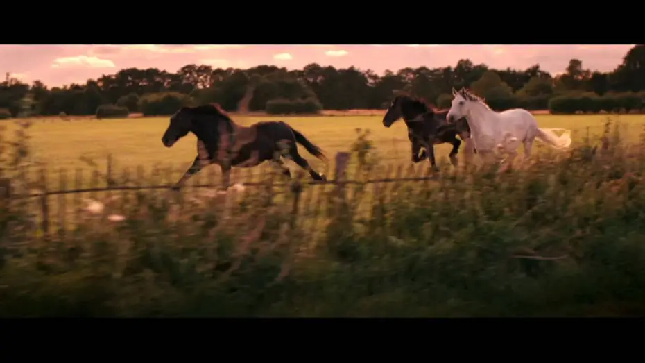 Video for the film Now Is Good — 30" TV spot