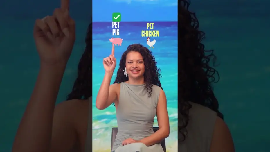 Video for the film Moana — pet 🐔 or pet 🐷?
