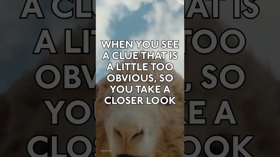 Video for the film The Sheep Detectives — Shear Interruption