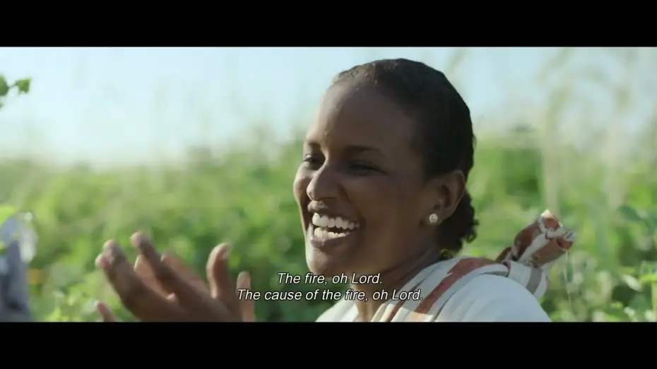 Video for the film Cotton Queen — #TIFF66 | Cotton Queen [INTERNATIONAL COMPETITION]