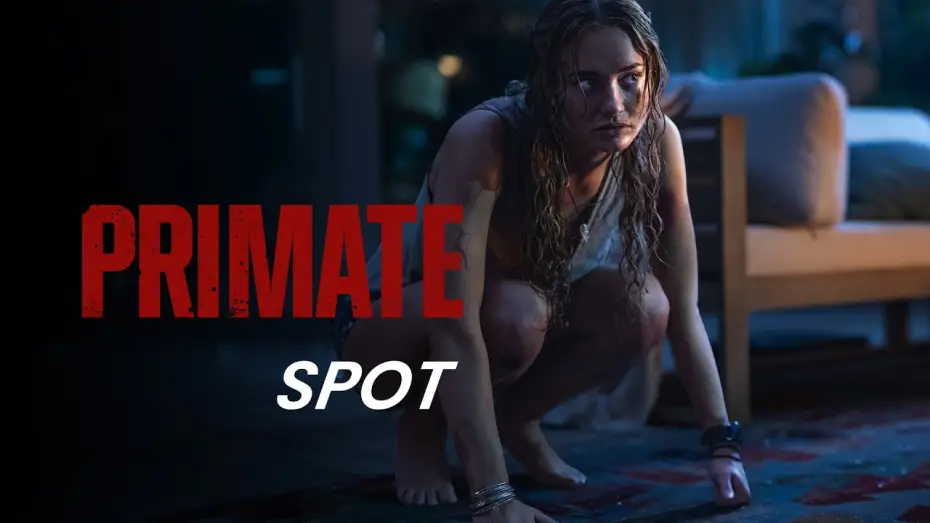 Video for the film Primate — PRIMATE | Escape | Kinostart: ab 29.1.