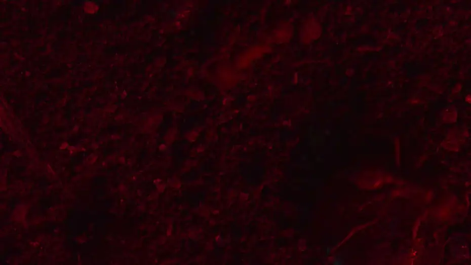 Video for the film RESET — RESET Intro Clip