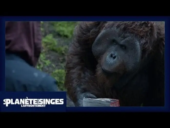 Video for the film Dawn of the Planet of the Apes — La Planète des Singes : L'Affrontement - Extrait Le Livre [Officiel] VOST HD