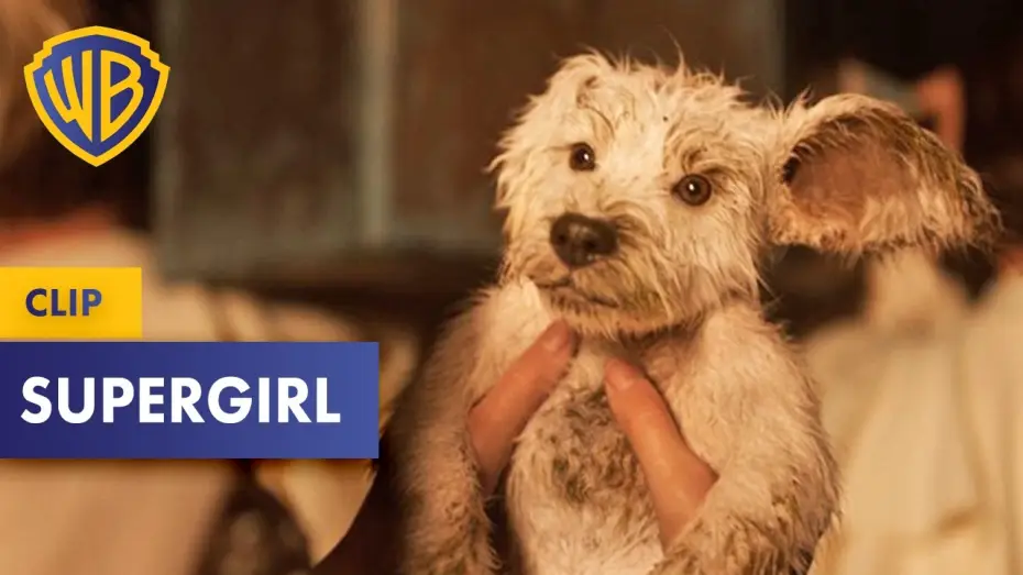 Video for the film Supergirl — SUPERGIRL – „Krypto” Clip Deutsch German (2026)