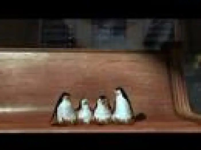 Video for the film Madagascar — Madagascar Trailer