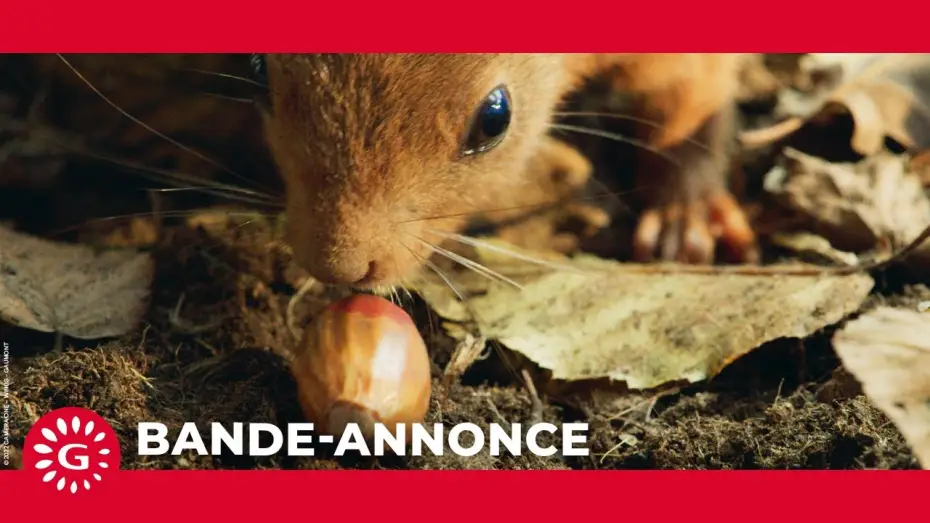 Video for the film Heart of an Oak — Le Chêne  (2022) - Bande-annonce