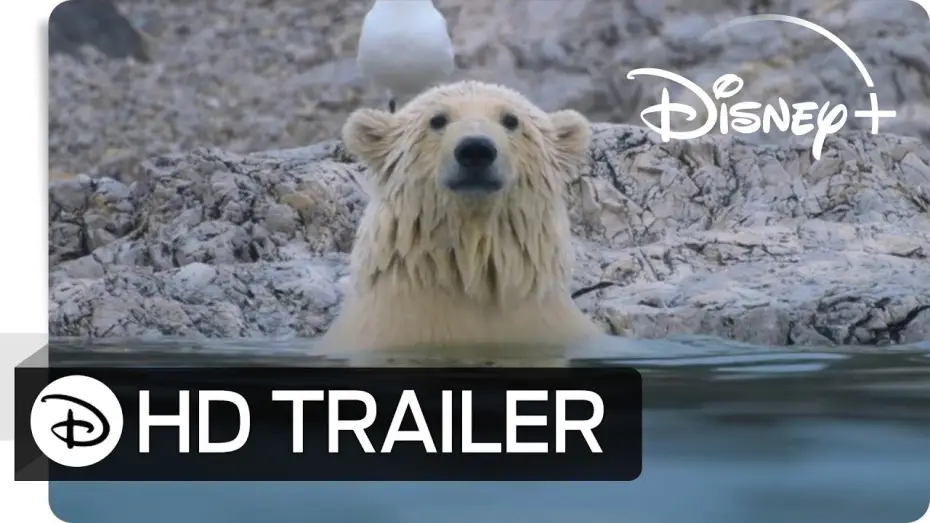 Video for the film Polar Bear — Eisbären | Teaser Trailer | Deutsch HD