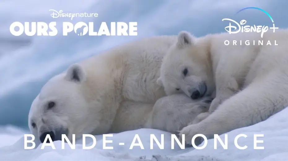 Video for the film Polar Bear — Ours polaire - Bande Annonce [VOST]