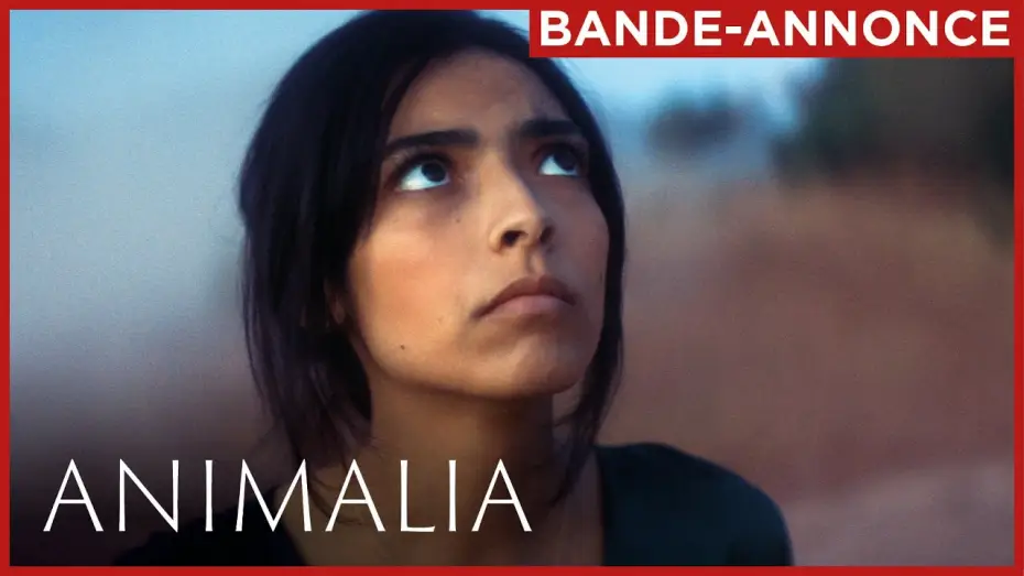 Video for the film Animalia — ANIMALIA | Bande-annonce