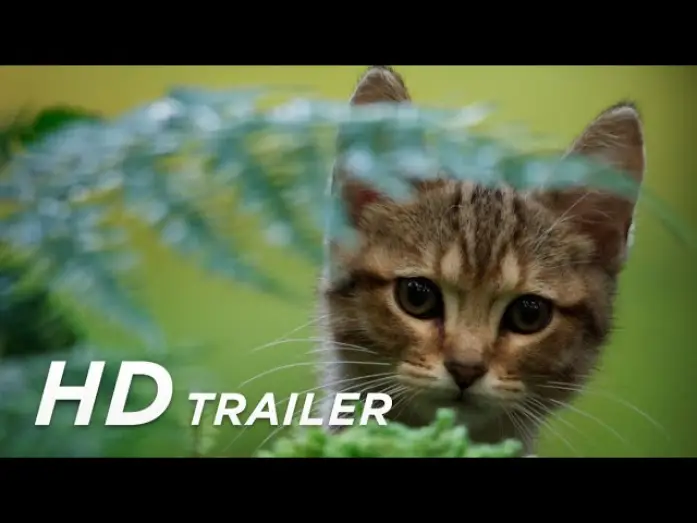 Video for the film A Cat's Life — Offizieller Trailer