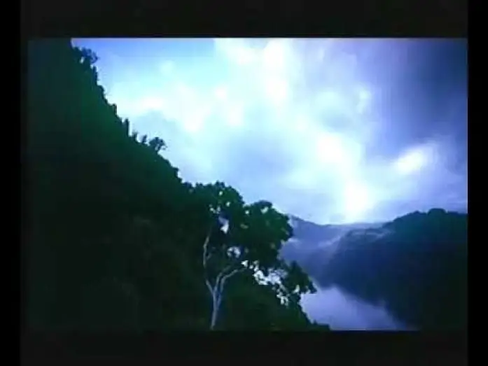 Video for the film George of the Jungle — George de la jungle - Bande annonce FR