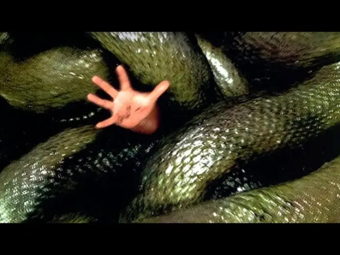 Video for the film Anacondas: The Hunt for the Blood Orchid — ANACONDAS: La Cacería Por La Orquídea Sangrienta (Trailer español)