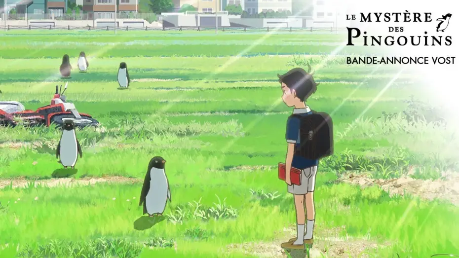 Video for the film Penguin Highway — LE MYSTÈRE DES PINGOUINS - Bande Annonce VOST