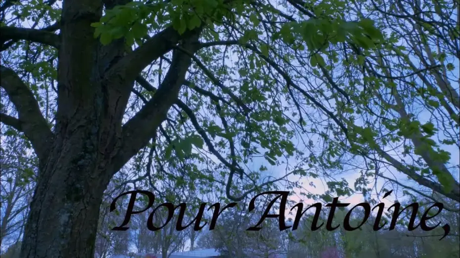 Video for the film Pour Antoine, — Pour Antoine,