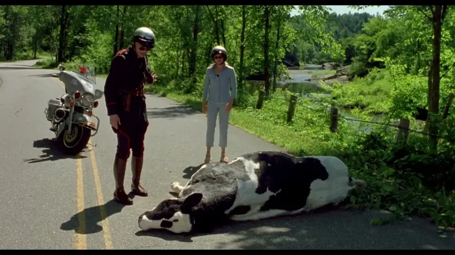 Video for the film Me, Myself & Irene — Fous d'Irène - le passage de la vache :)