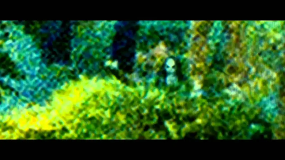 Video for the film Sinister — Sinister - Trailer en español HD