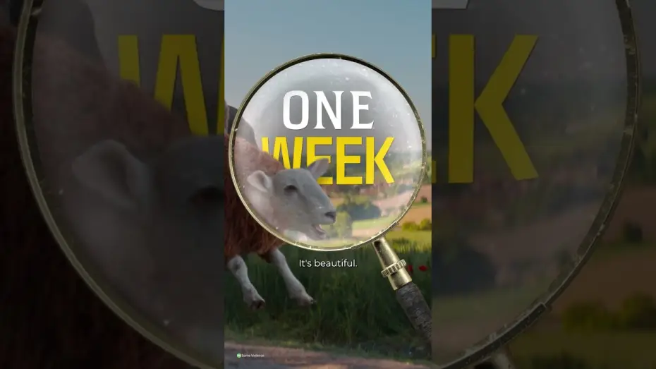 Video for the film The Sheep Detectives — One Week