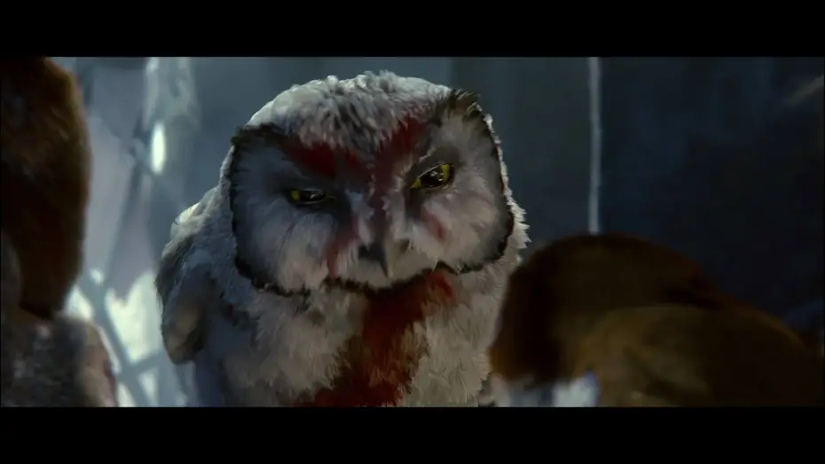 Video for the film Legend of the Guardians: The Owls of Ga'Hoole — Legend of the Guardians: The Owls of Ga'Hoole An IMAX 3D Experience Trailer
