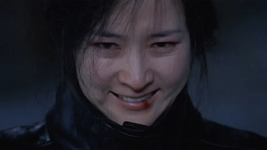Video for the film Lady Vengeance — Lady Vengeance trailer