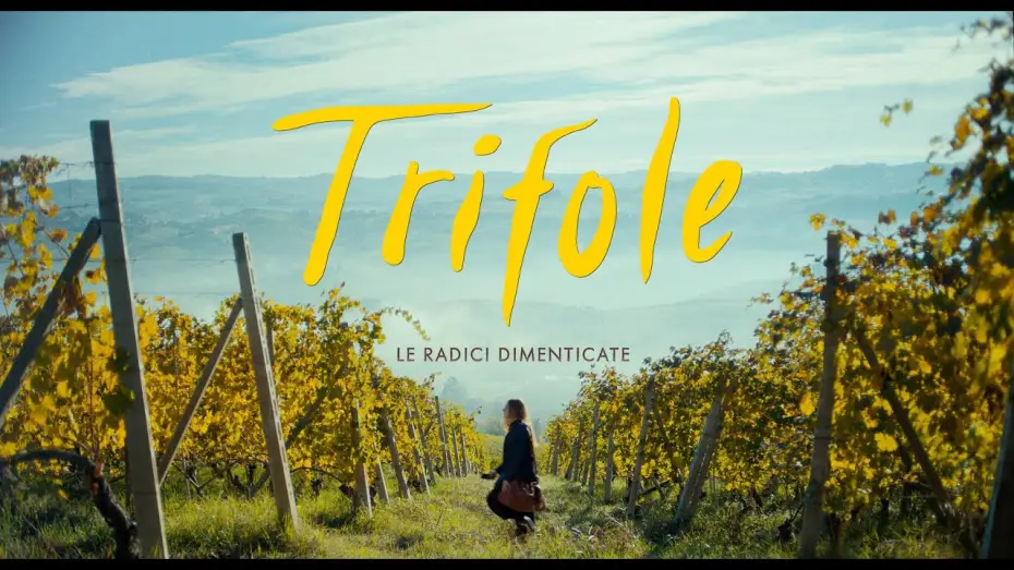 Video for the film Trifole — TRIFOLE - Le radici dimenticate - TEASER - dal 17 ottobre al cinema