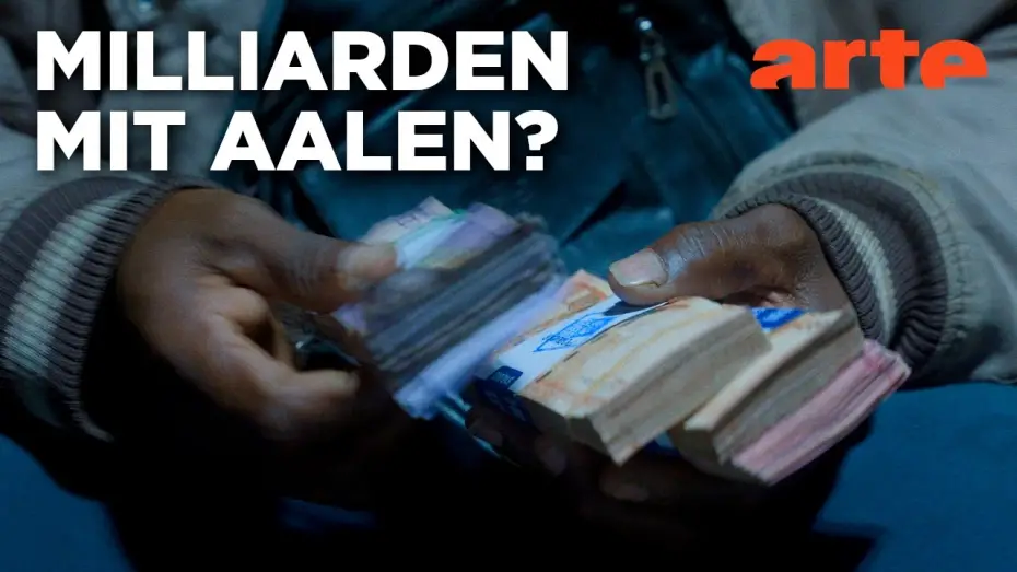 Video for the film Billion Dollar Babies - Der Aal und die Gier — Milliarden Dollar Babies - Große Gewinne mit kleinen Aalen | Doku HD | ARTE