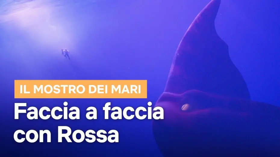 Video for the film The Sea Beast — Faccia a faccia con Rossa