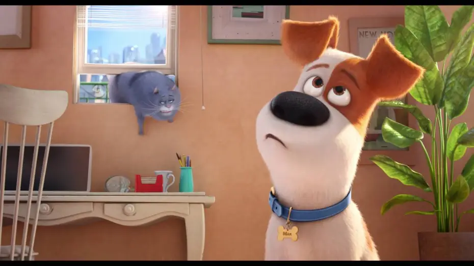 Video for the film The Secret Life of Pets — Comme des bêtes / "Les amoureux des chats" VF [Au cinéma le 27 Juillet]