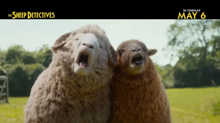 Video for the film The Sheep Detectives — In Cinemas May 6