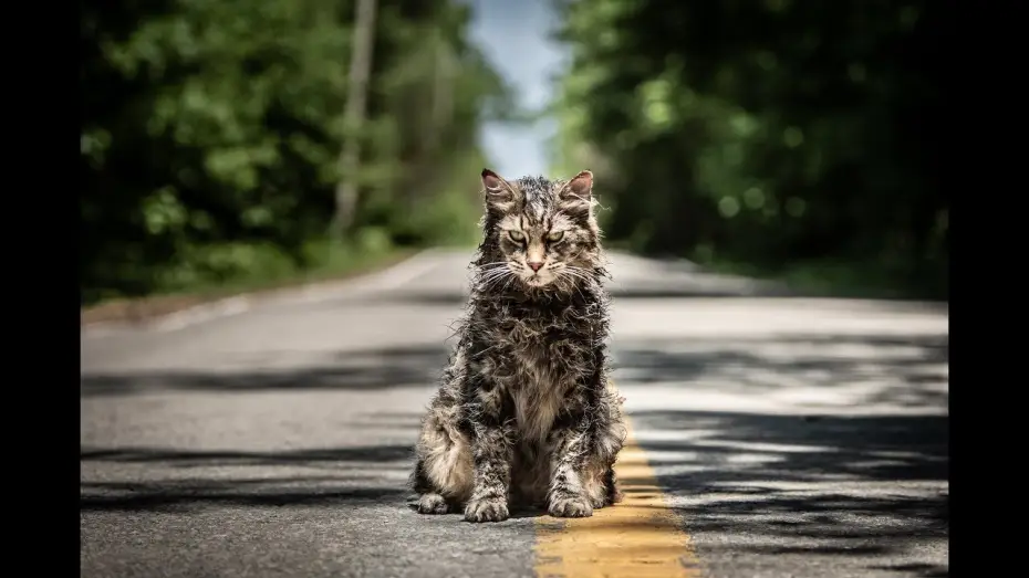 Video for the film Pet Sematary — Friedhof der Kuscheltiere - Trailer 1 - Deutsch HD