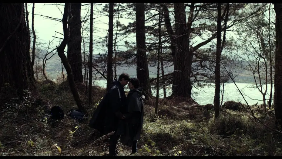 Video for the film The Lobster — Out on DVD, Blu-Ray and Digital 8 Feb