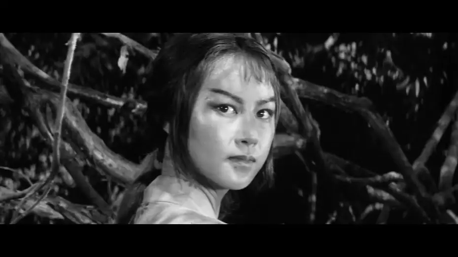Video for the film The Hidden Fortress — Hidden Fortress | 1958 Trailer - Toshiro Mifune, Misa Uehara, Minoru Chiaki