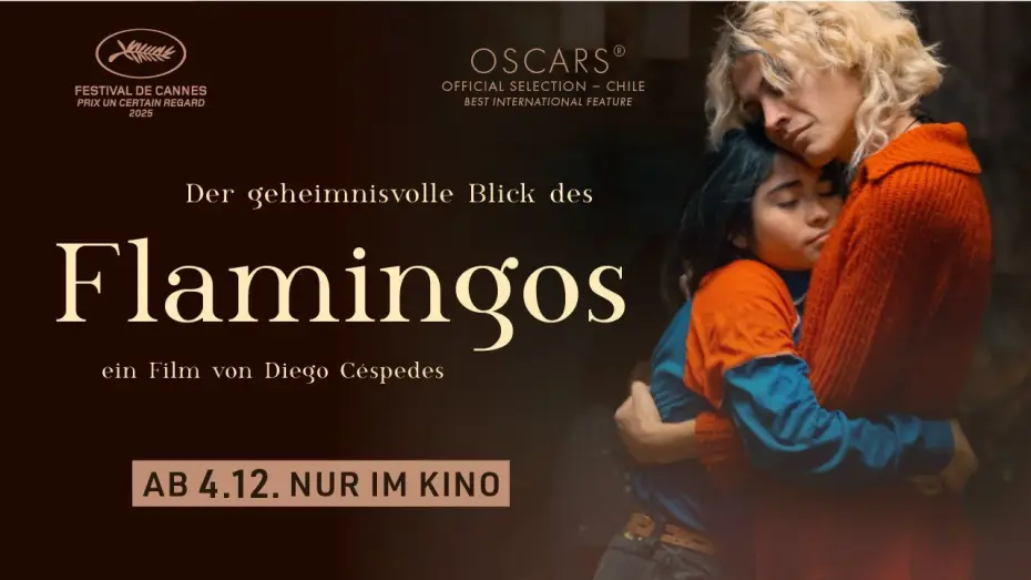Video for the film The Mysterious Gaze of the Flamingo — DER GEHEIMNISVOLLE BLICK DES FLAMINGOS | Trailer | ab 4.12 2026 im Kino