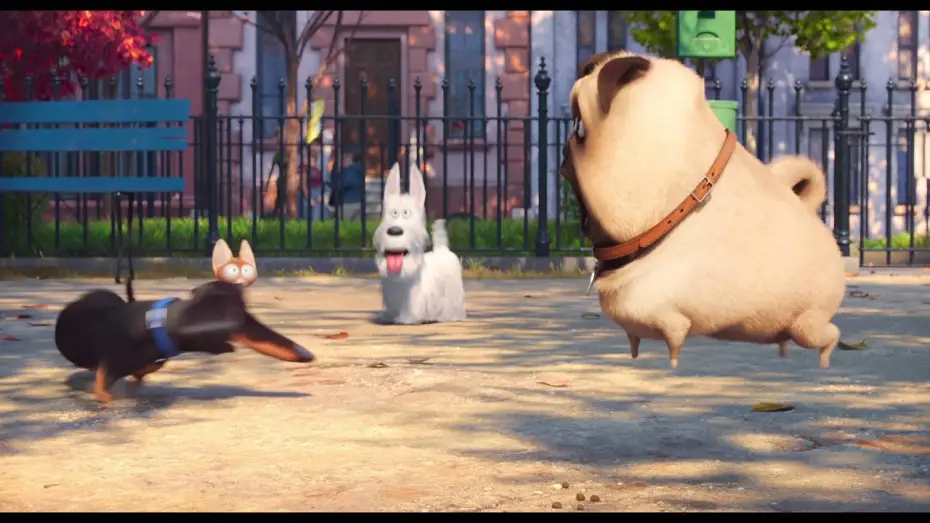 Video for the film The Secret Life of Pets — PETS – VITA DA ANIMALI: secondo trailer italiano ufficiale