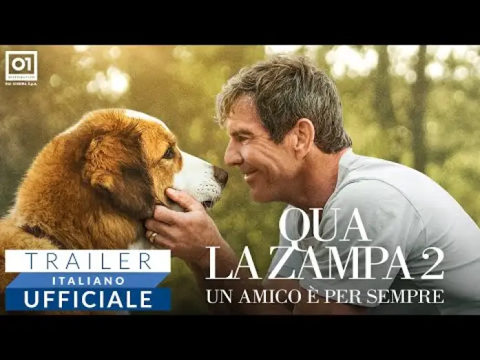 Video for the film A Dog's Journey — QUA LA ZAMPA 2 (2020) - Trailer Italiano HD