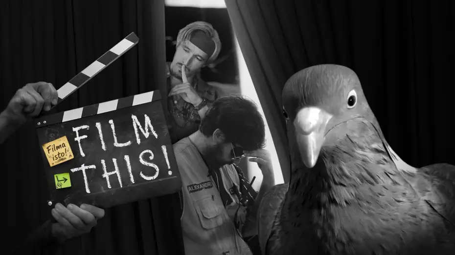 Video for the film Film this! — Film This! | 4K Full Movie | Original Title: "Filma isto!"