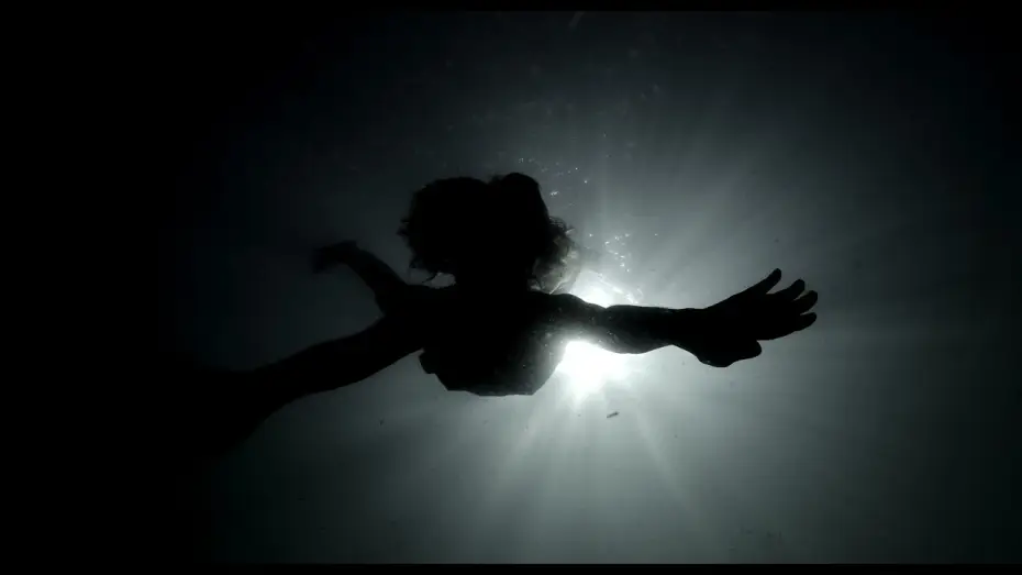 Video for the film Io ti conosco — Io ti conosco -Galleria Toledo Cinema