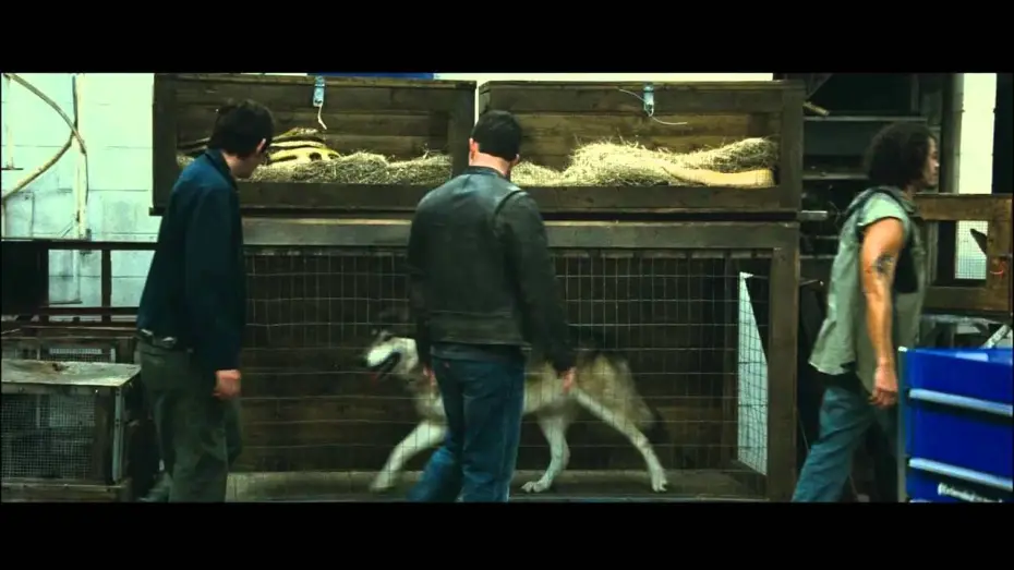 Video for the film Contraband — Contrebande - Bande annonce (VF)