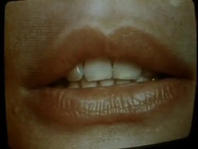 Video for the film Videodrome — Videodrome | Trailer