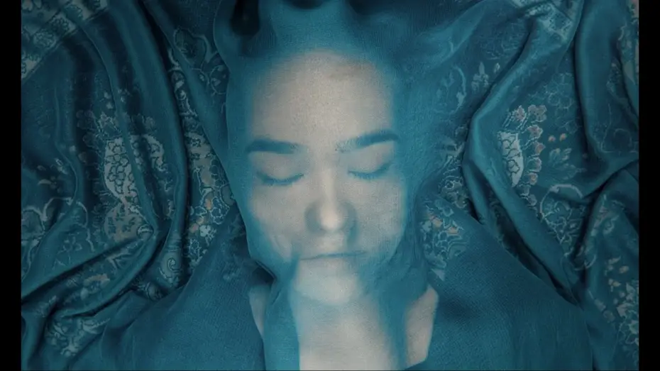 Video for the film A Fox Under a Pink Moon — A Fox Under a Pink Moon • Trailer