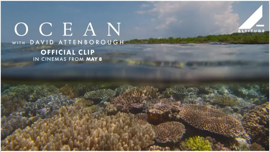 Video for the film Ocean with David Attenborough — 'Scuba Diving' Clip