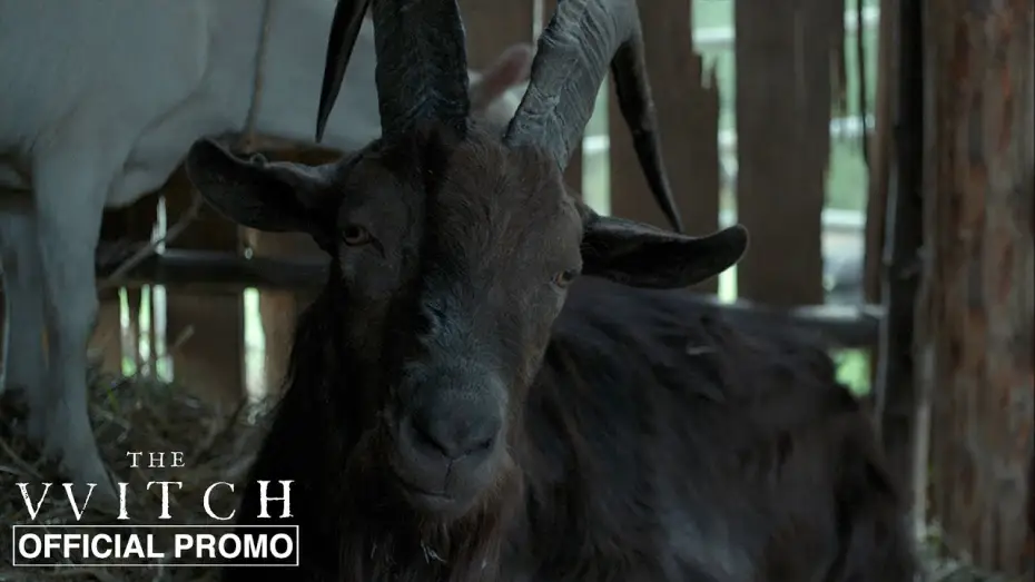 Video for the film The Witch — Black Phillip - Official Promo