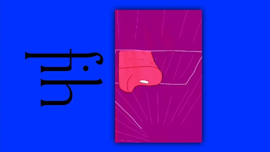 Video for the film fih — fih