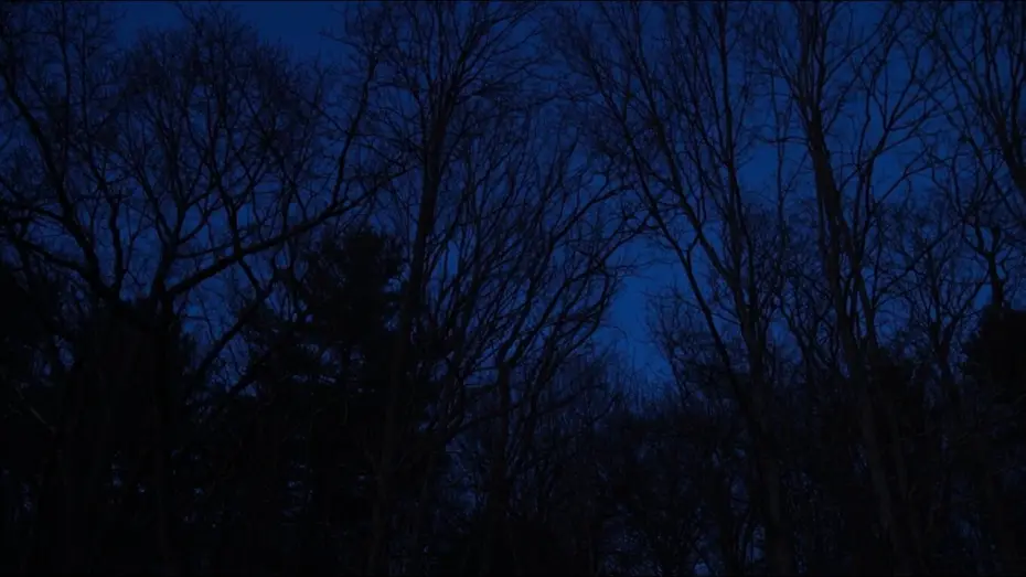 Video for the film Hollow Walker of the Lake — Hollow Walker of the Lake