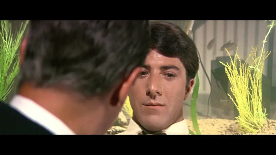 Video for the film The Graduate — Il laureato - Trailer