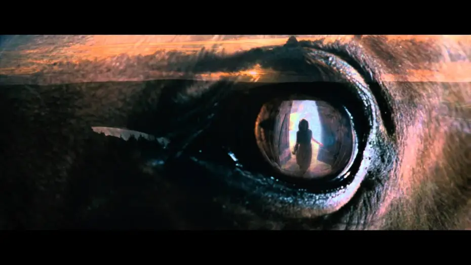 Video for the film War Horse — Gefährten   - Trailer