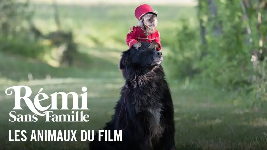 Video for the film Remi, Nobody's Boy — Les animaux - Rémi sans famille