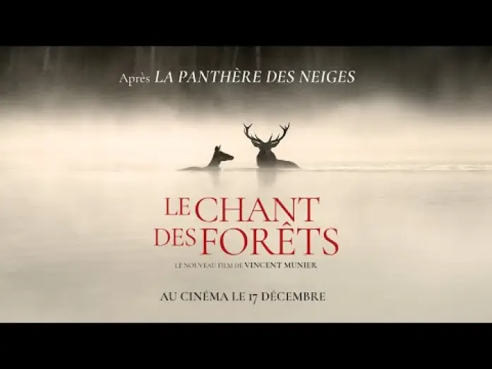Video for the film Whispers in the Woods — LE CHANT DES FORÊTS - Bande-annonce