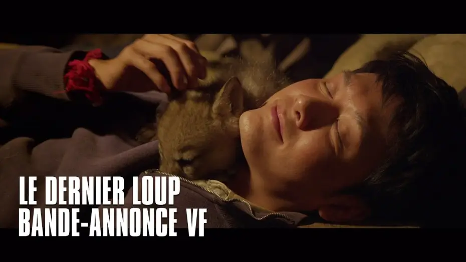 Video for the film Wolf Totem — Le dernier loup - bande-annonce VF