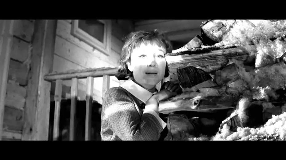 Video for the film The Girls — Девчата - Trailer