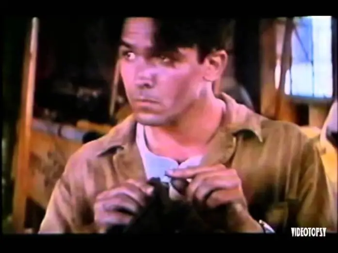 Video for the film The Rocketeer — Les aventures de Rocketeer (1991) BA VF